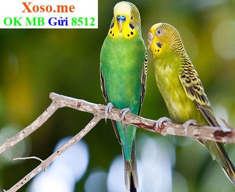 Giải mã giấc mơ nằm mơ thấy ba chết: Điềm báo hung hay cát?