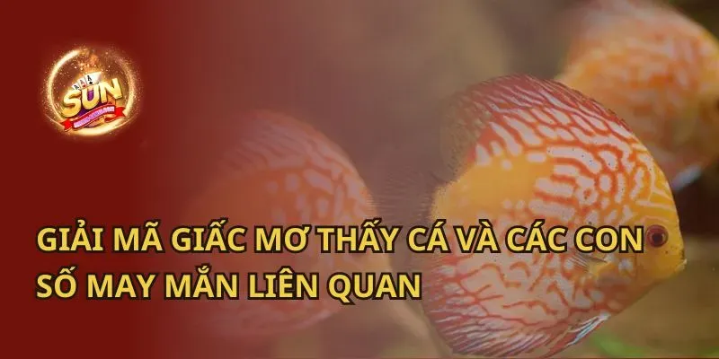 Giải mã giấc mơ thấy câu cá: Điềm báo tài lộc và may mắn