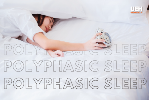 Phương pháp giải mã giấc mơ hiệu quả và chính xác